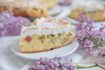 Rhabarber Kuchen 