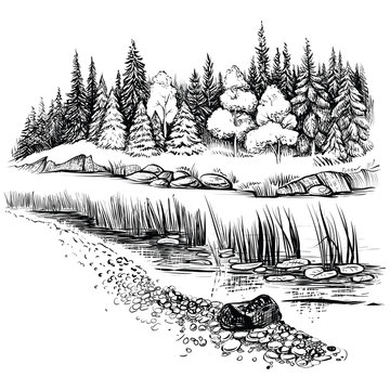 River landscape with conifer forest. Vector illustration.