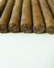 Brown cigar on white background