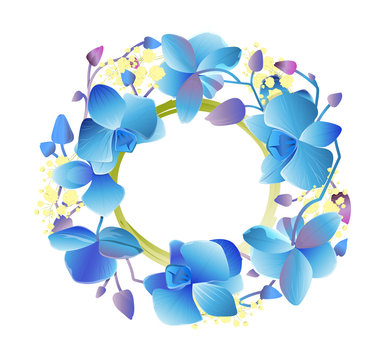 Isolated orchids wreath