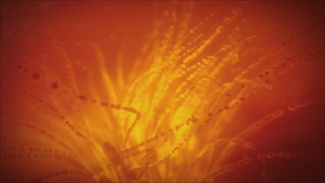 Red swarming particles abstract video background. Looping.