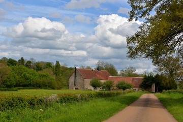 Obraz premium Arbres