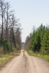 Dirt road through forest and field.