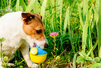 Cute gardener planting and growing flower