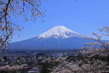 Fototapeta premium Fuji Mountain