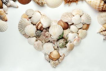 Fototapeta na wymiar heart shaped seashells