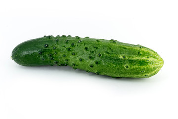 Big fresh green cucumber on a white background