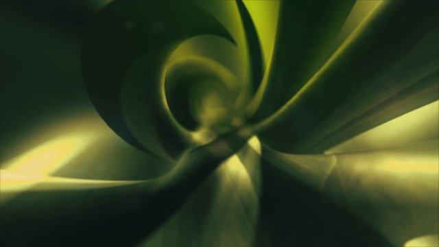 Abstract organic background resembling a plant. Loop.