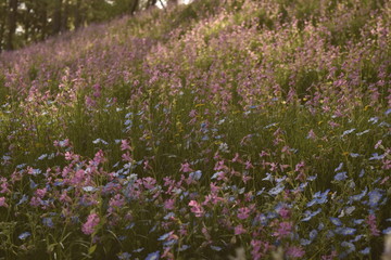 里山ガーデンにて