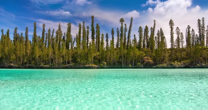 Seamless loop, Natural pool of Oro Bay, famous attraction in the Isle of Pines, New Caledonia - Video 4K