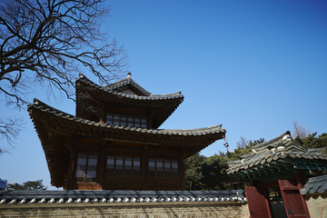 Fototapeta premium Changdeokgung Palace 