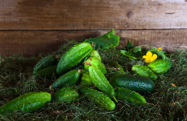 cucumbers