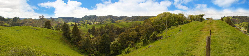 Fototapeta na wymiar Hügelige Wiesenlandschaft auf der Nordinsel von Neuseeland