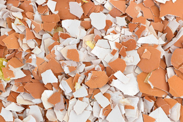 Crushed egg shells close view.