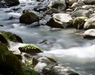 Rivière Guadeloupe 
