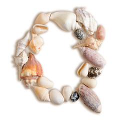 various sea shells capital Q on isolated white background