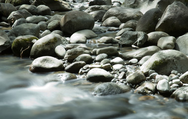 Rivière Guadeloupe 