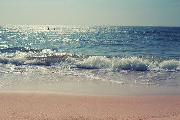 Beach or coast of vintage color style in tropics sea.