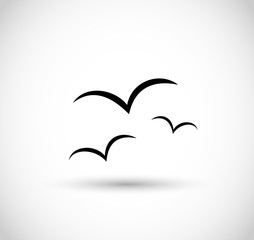 Seagulls icon vector