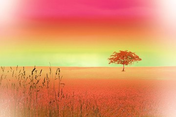 Vintage red surreal landscape with single tree.