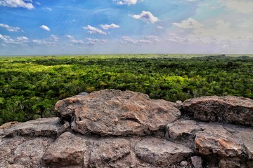 Coba Jungle, mx