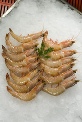 Raw Shrimps on ice