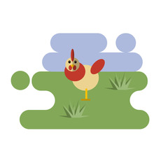 Flat cartoon chicken icon on blue and green background