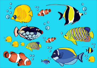 Fototapeta premium drawing fishes, illustration, fish crown, yellow fish, blue fish, red fish