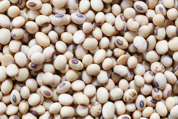 soybean pile of Tropical vegetables.