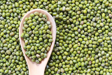Green beans seed in a wooden spoon.