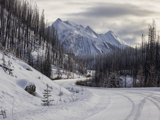 Fototapeta na wymiar Winter in the mountains, Jasper National Park, Alberta, Canada