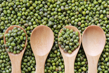 Green beans seed in a wooden spoon.