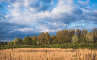 Nature landscape with cloudy sky