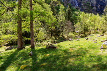 paesaggio montano