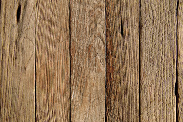 texture of wood.