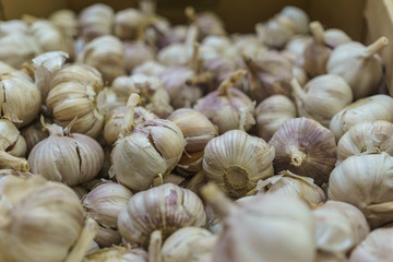 A lot of garlic in a box on the market