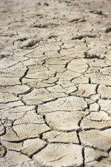This soil is cracked and dry. It hasn't been raining much here recently.