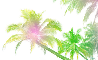 Naklejka premium Silhouette palm tree with colorful filter for summer background.