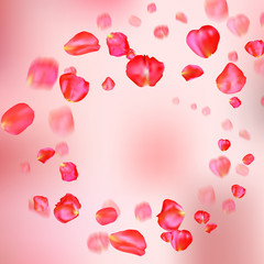 A lot of falling red rose petals on pink background.