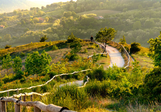 Euganean Hlls viewpoint Pianoro del Mottolone curve trail Padua Italy