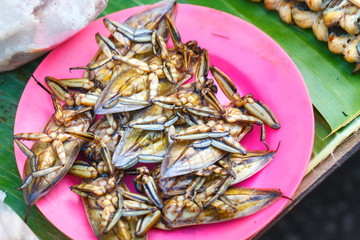 Pimp,  insects ,insects for food pimp freshwater in the market,Thailand.