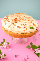 Rhabarbertorte mit Baiser