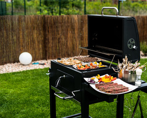 Barbecue grill party. Tasty Fresh food. Shrimps  spit and Beef rolls with bio young spices, chicken...