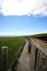 Fototapeta na wymiar Dirt pathway with wire fence and stone wall in Ireland