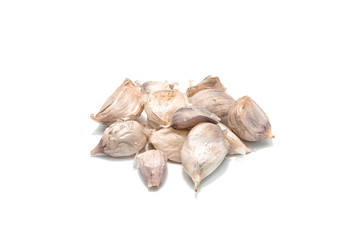 Garlic on white background.