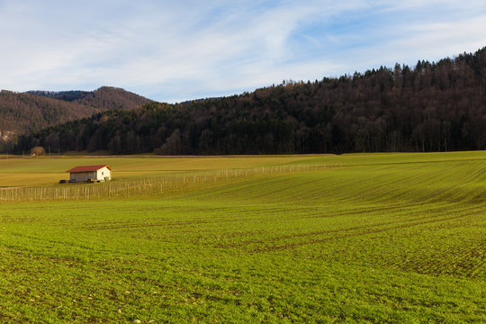 Countryside landscape in spring, lawns