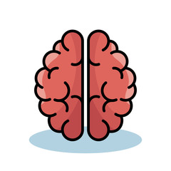 Pink brain over white background. Vector illustration.