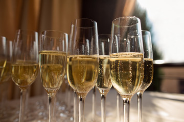 Rows of champagne glasses for holiday
