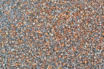 Peel from the fruits of argan tree background