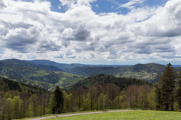Paysage des Vosges